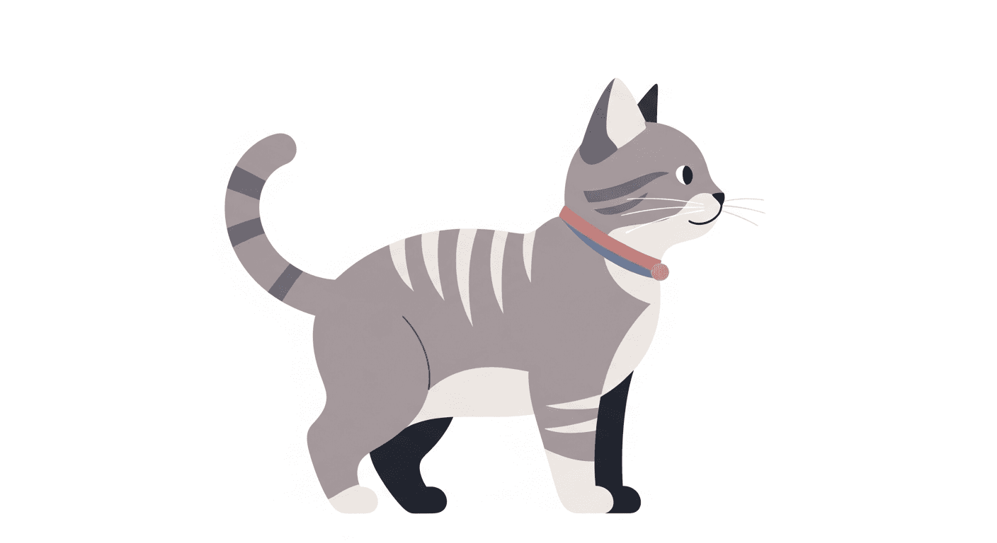 American Shorthair: Complete Breed Guide — Personality, Care & Health