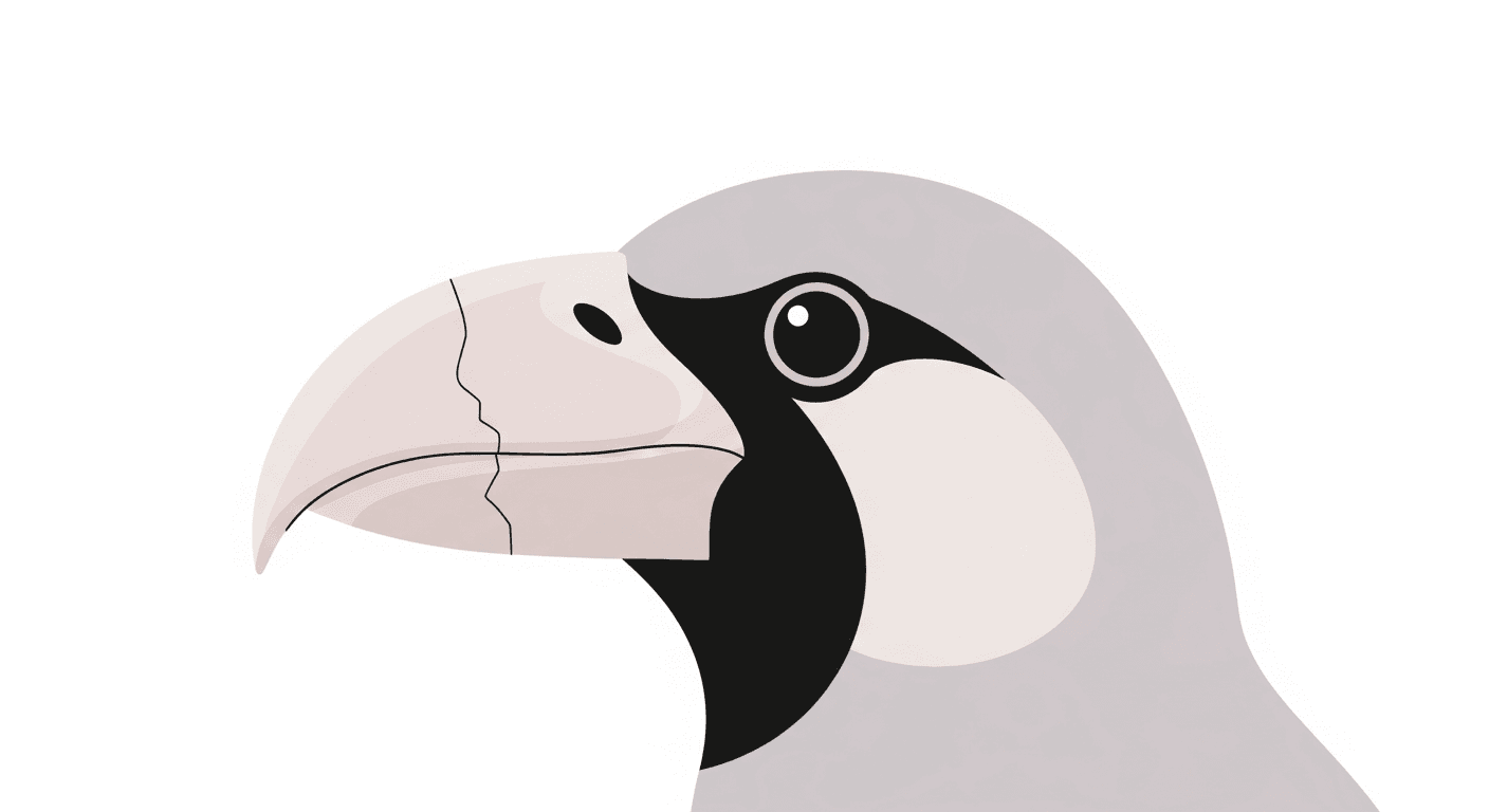 Bird Beak Problems: Overgrowth, Injuries, and Infections