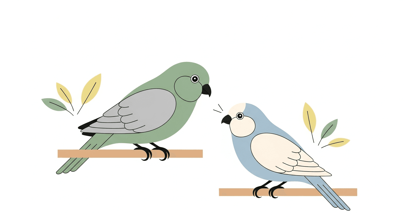 Introducing a New Bird to Your Home: Quarantine and Integration