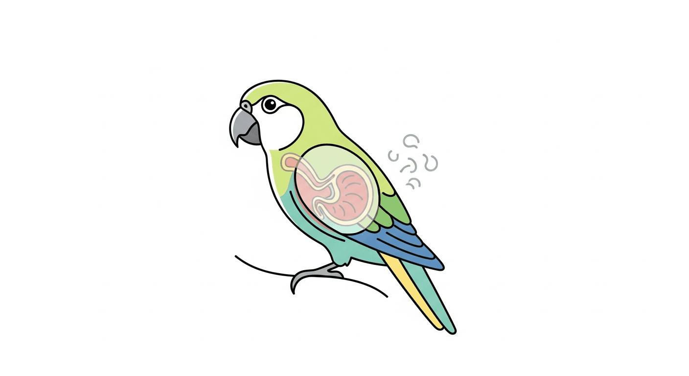 Proventricular Dilatation Disease (PDD) in Parrots