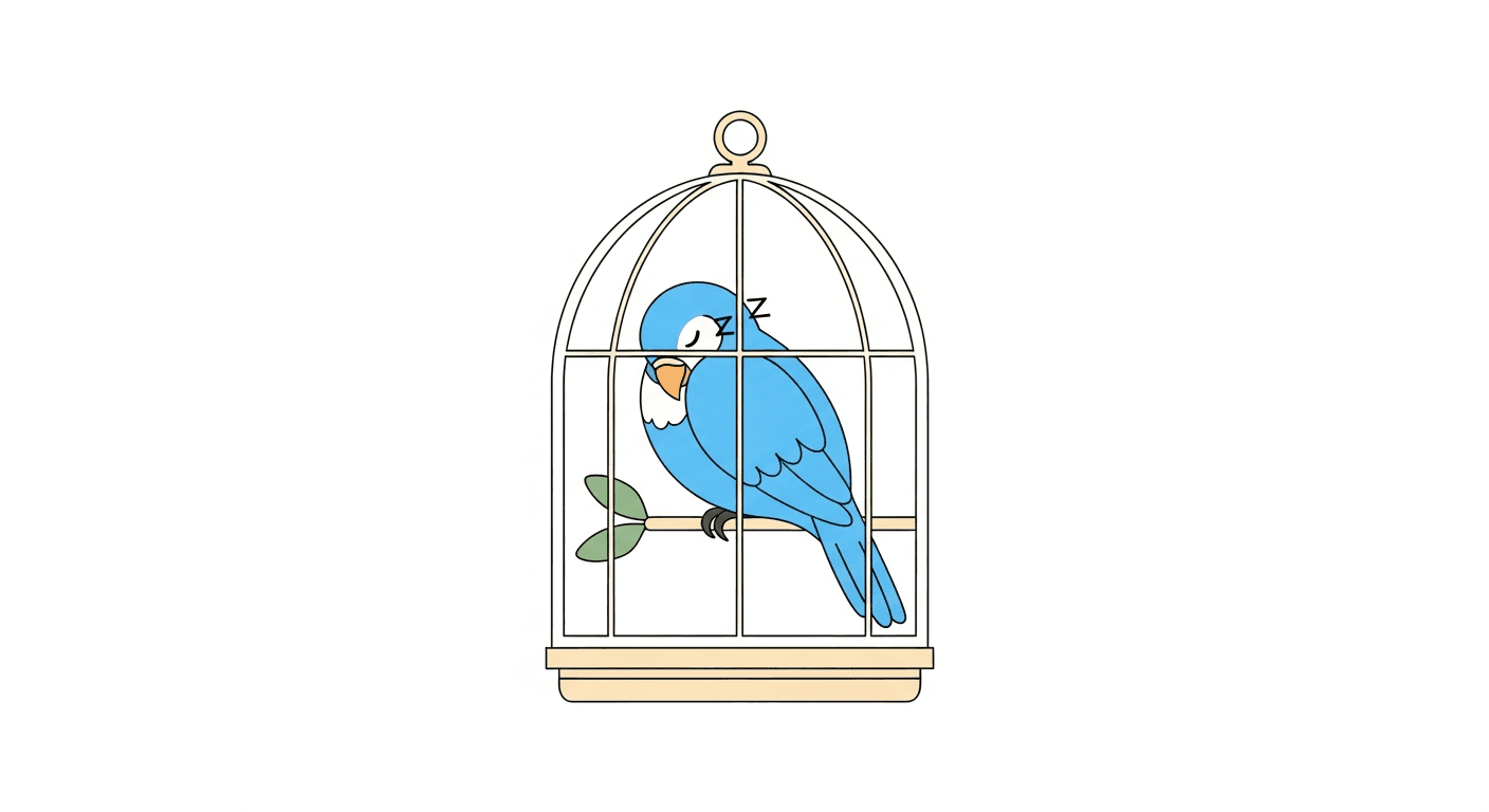 How Much Sleep Do Pet Birds Need and What Happens When They Don't Get Enough