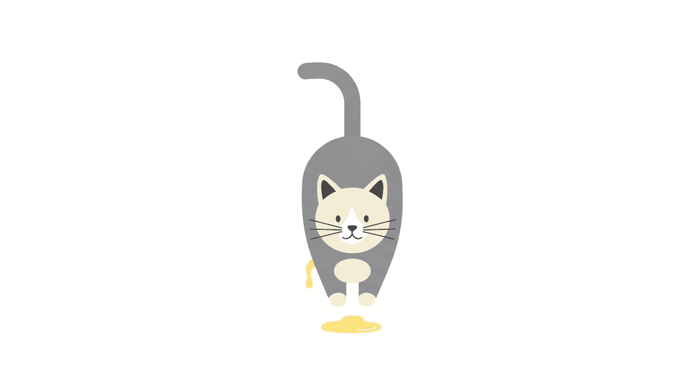 Cat Peeing Frequently in Small Amounts: What It Means