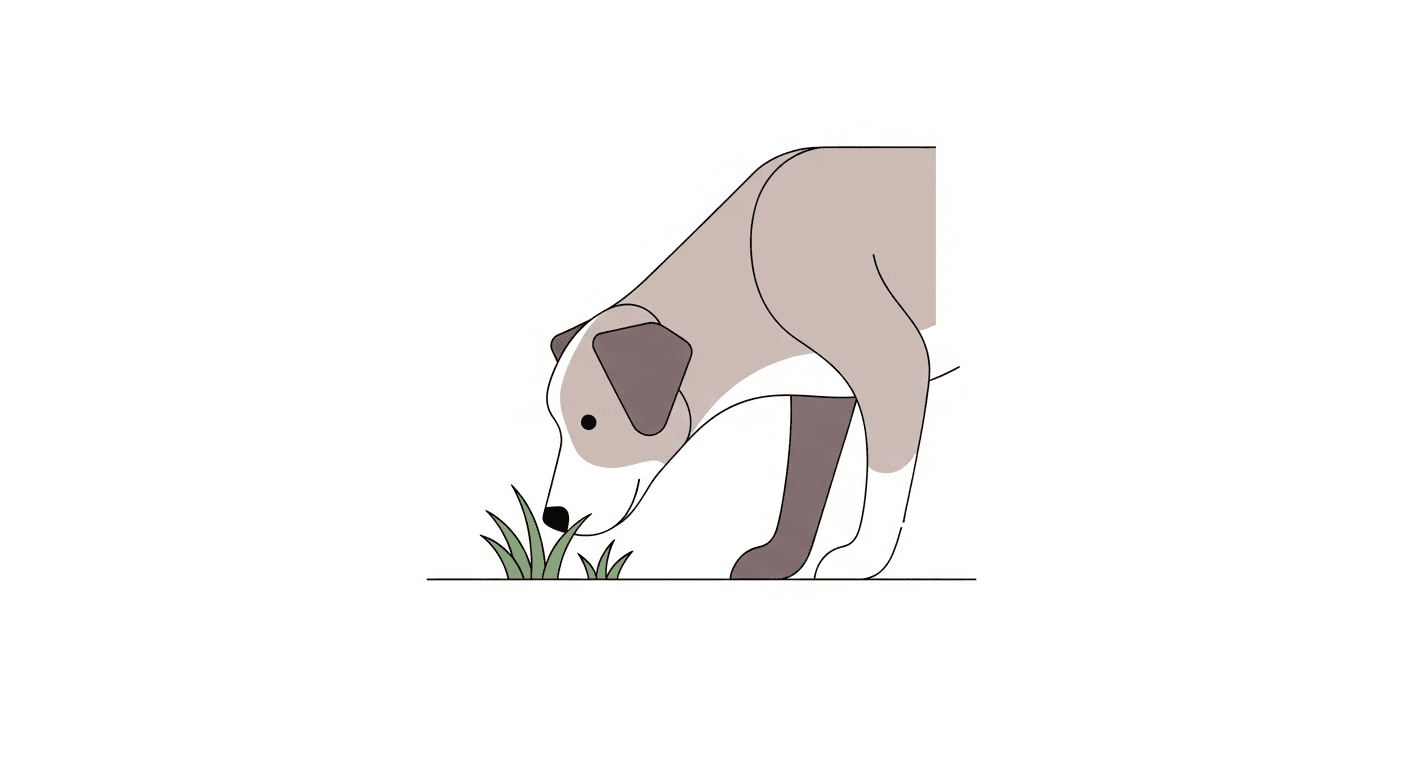 Dog Eating Grass: Should You Worry?