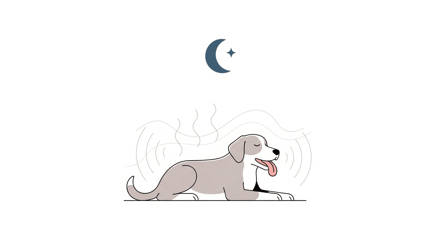 Dog Panting at Night: Reasons and Solutions