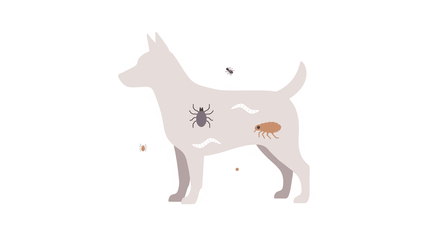 Dog Parasite Control Schedule