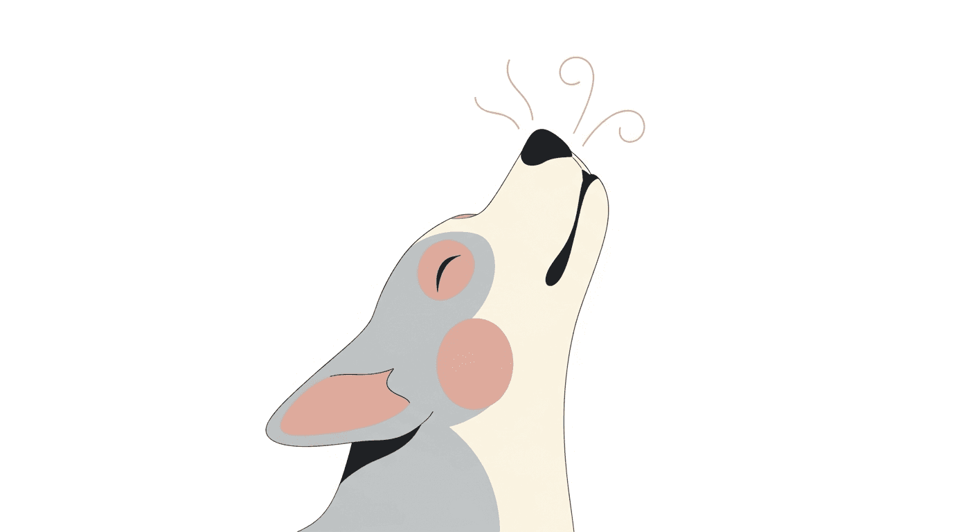 Dog Reverse Sneezing Explained