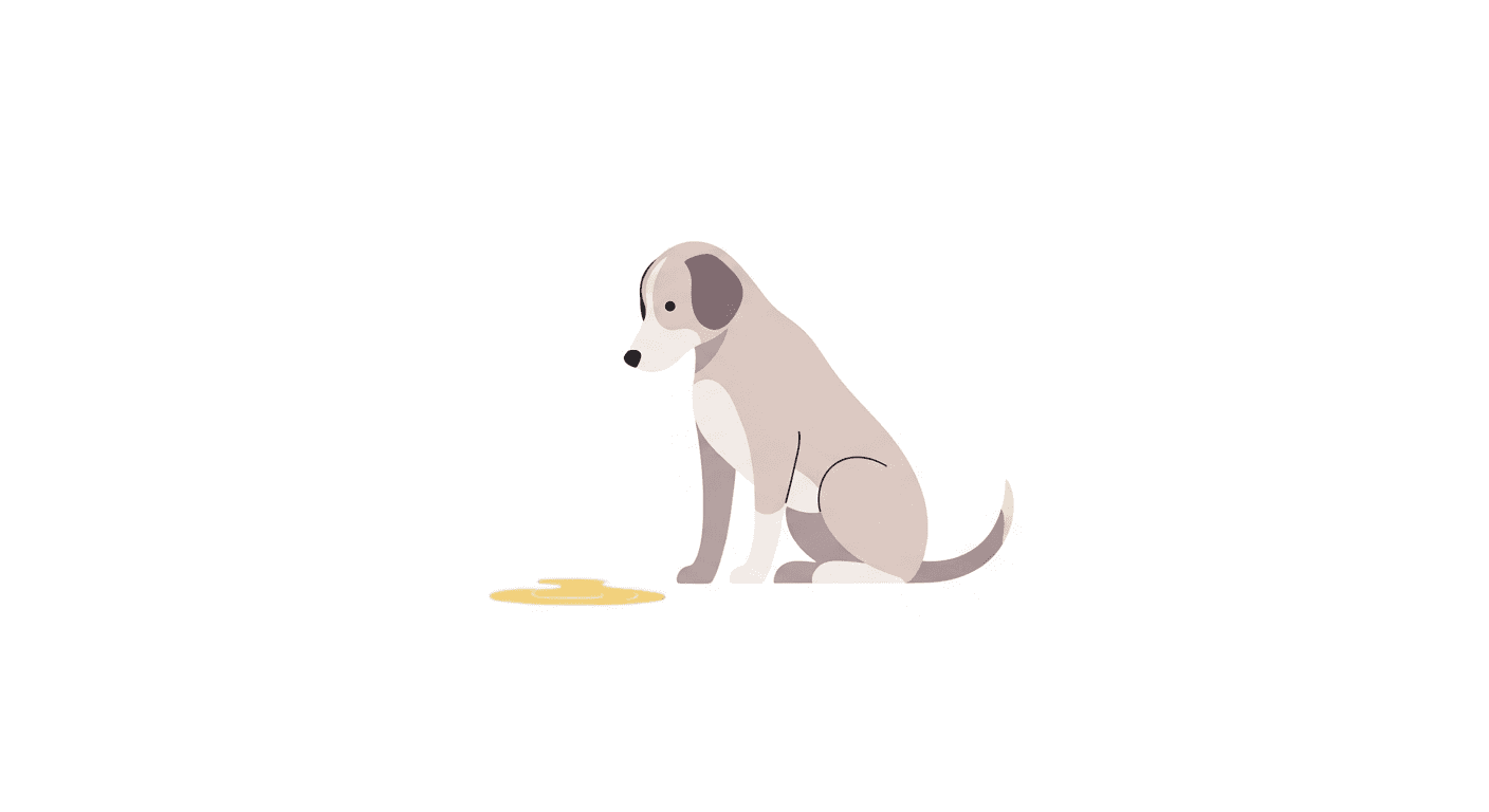 Dog Vomiting Yellow Bile: Causes and Home Care