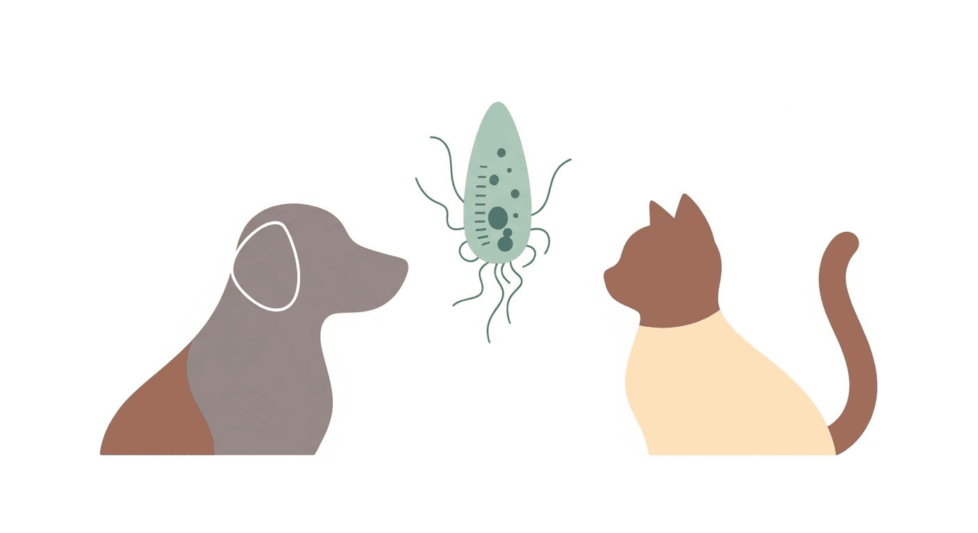 Giardia in Dogs and Cats: A Common Intestinal Parasite