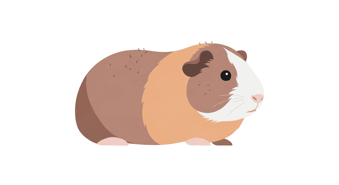 Guinea Pig Lice: Identification, Treatment, and Prevention