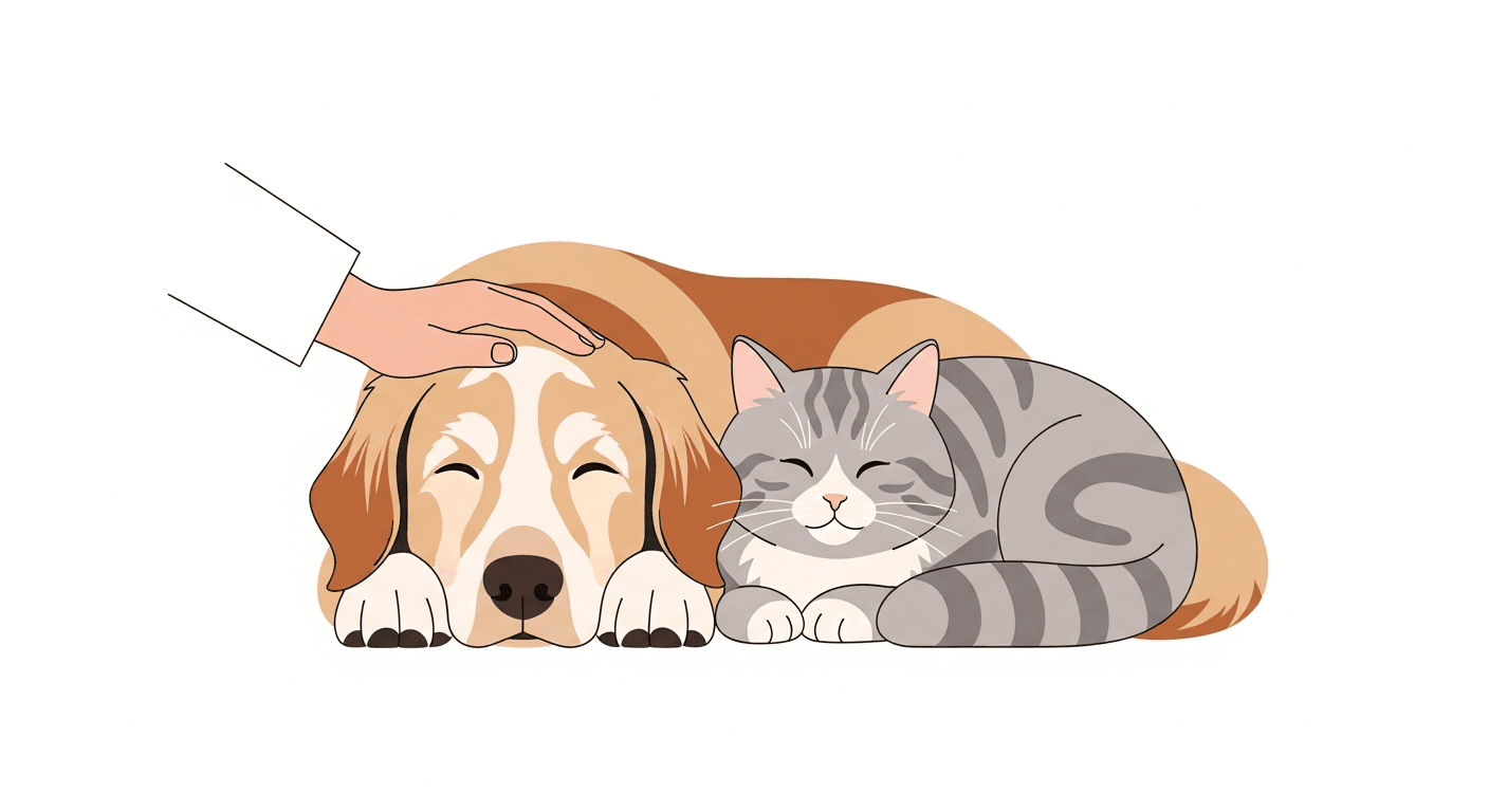 Palliative and Hospice Care for Pets