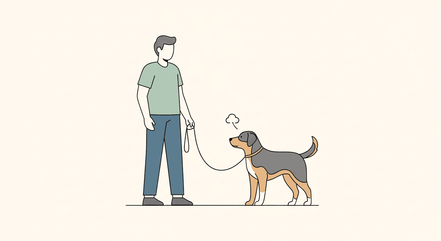 How to Stop Leash Pulling: A Complete Training Guide