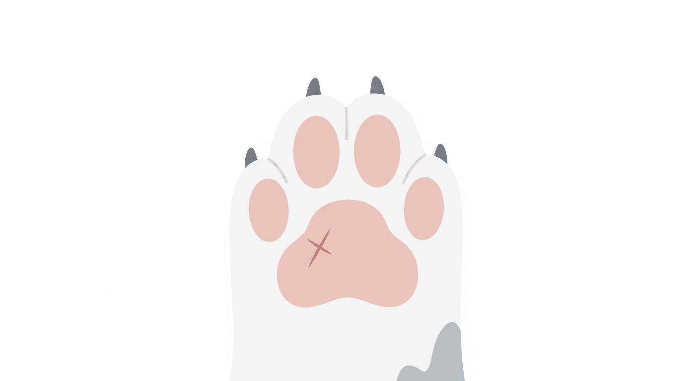 Paw Pad Cuts and Burns: First Aid for Your Pet's Feet