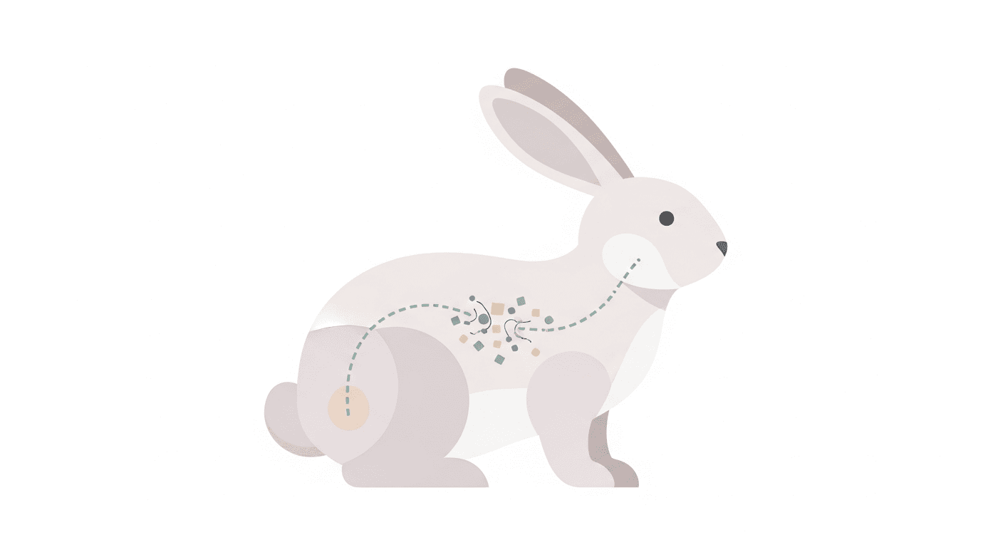 GI Stasis in Rabbits: What Every Owner Must Know