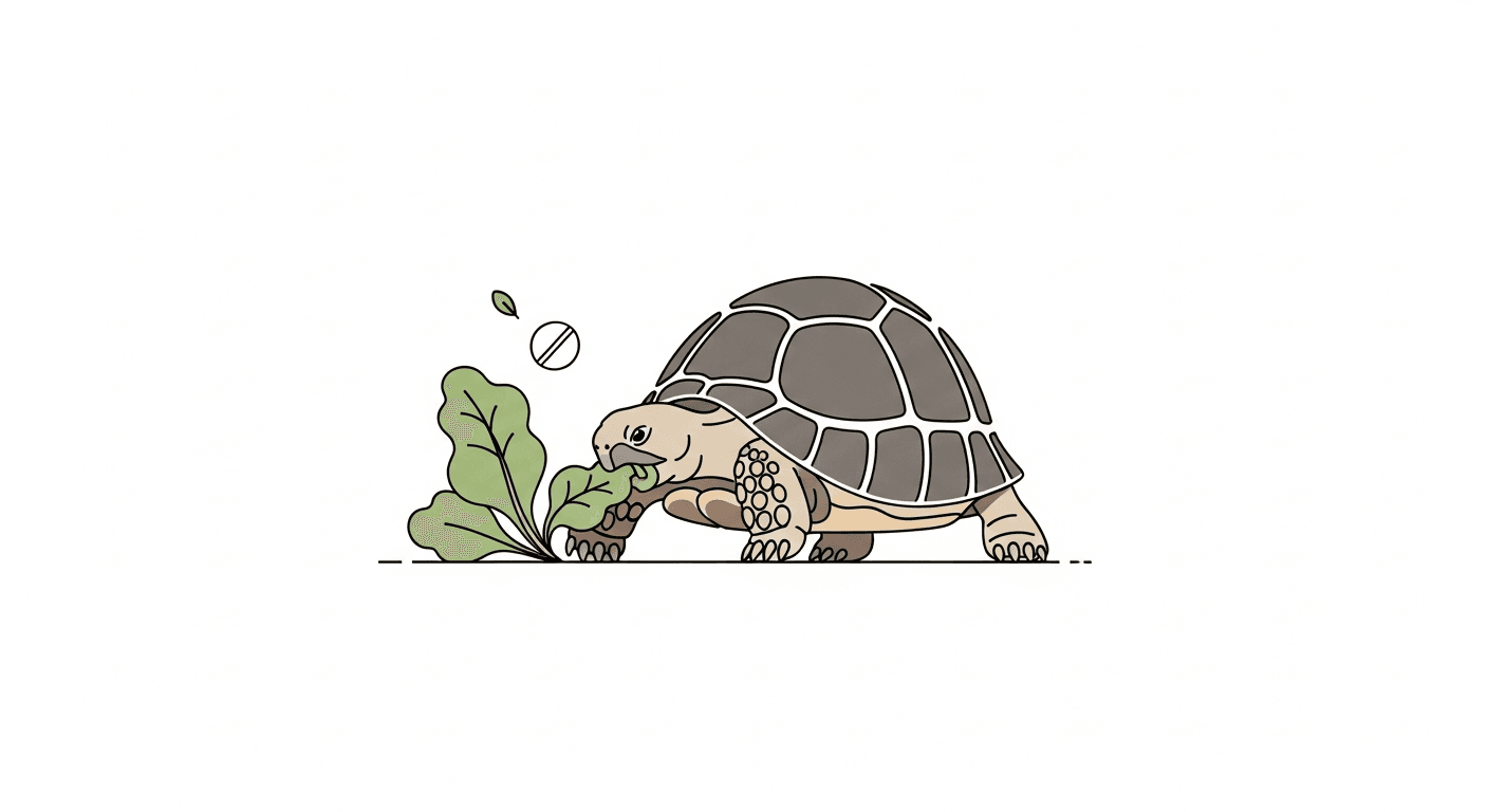 Calcium Supplementation for Tortoises: How, When, and How Much