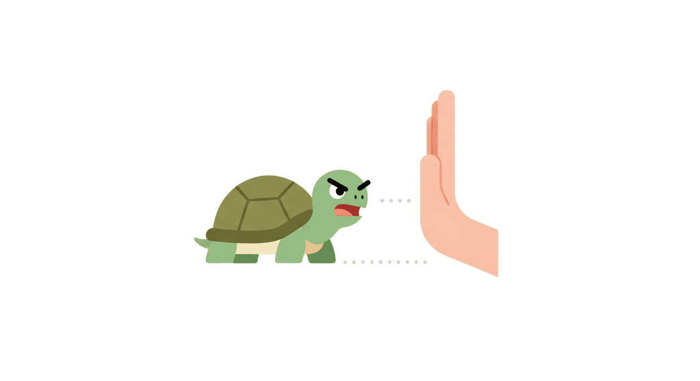 Turtle & Tortoise Health