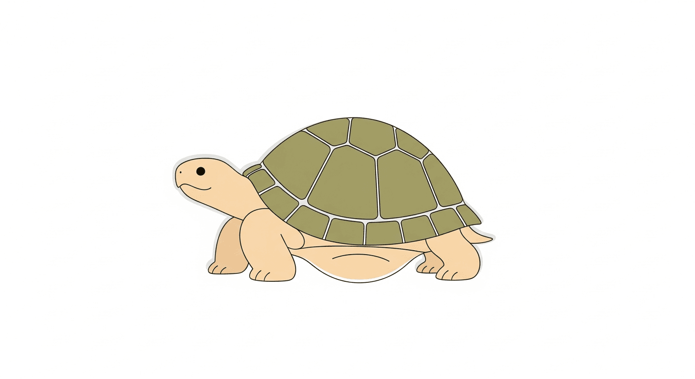 Turtle & Tortoise Health
