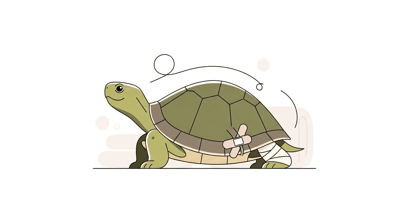 Caring for Your Turtle After Surgery: Recovery Steps and What to Watch For