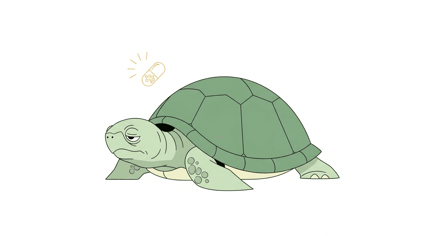 Vitamin Deficiencies in Turtles: Vitamin A, D3, and Calcium Explained